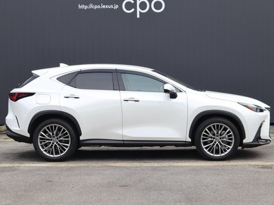 LEXUS NX - 4