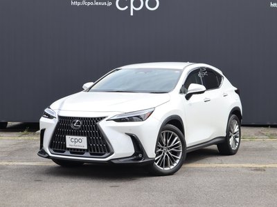 LEXUS NX - 1