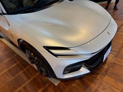 FERRARI PUROSANGUE - 6
