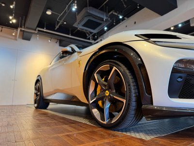 FERRARI PUROSANGUE - 7