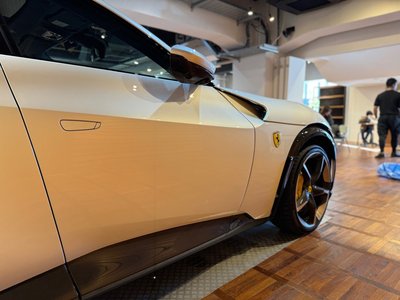 FERRARI PUROSANGUE - 9