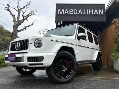 MERCEDES-BENZ G-CLASS - 1