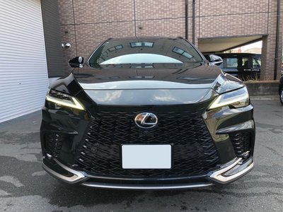 LEXUS RX - 2