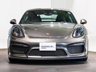 2015 Porsche CAYMAN 缩略图 18