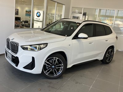 BMW X1 - 2