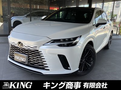 LEXUS RX - 1