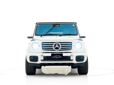 MERCEDES-BENZ G-CLASS - 10