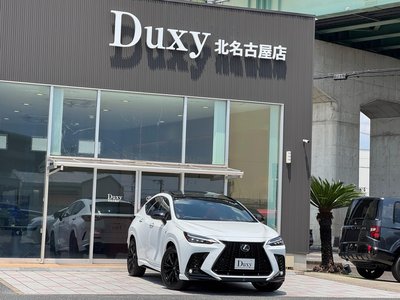 LEXUS NX - 9