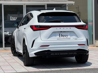 LEXUS NX - 8