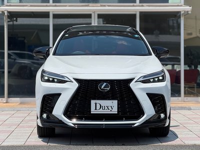 LEXUS NX - 10
