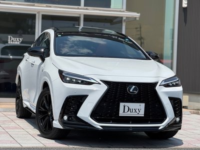 LEXUS NX - 6