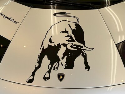 LAMBORGHINI MURCIELAGO ROADSTER - 7