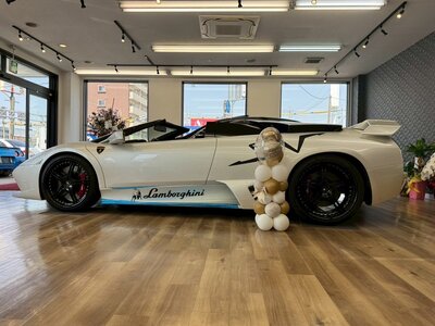 LAMBORGHINI MURCIELAGO ROADSTER - 10