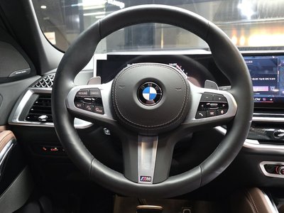 2025 BMW X6 缩略图 19