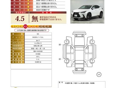 LEXUS NX - 6