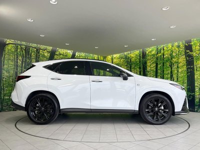 صورة مصغرة 63 لـ 2025 Lexus NX
