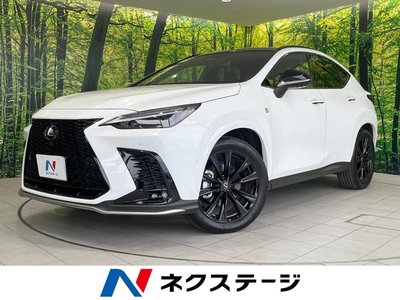 2025 Lexus NX 照片 1
