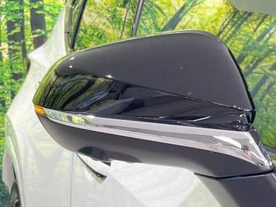صورة مصغرة 57 لـ 2025 Lexus NX