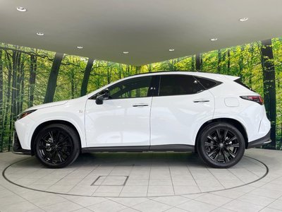 صورة مصغرة 60 لـ 2025 Lexus NX