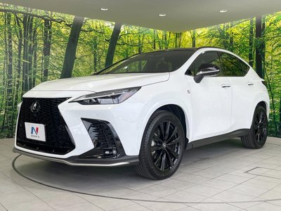 صورة مصغرة 61 لـ 2025 Lexus NX