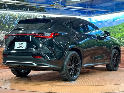 2025 Lexus NX — миниатюра 17