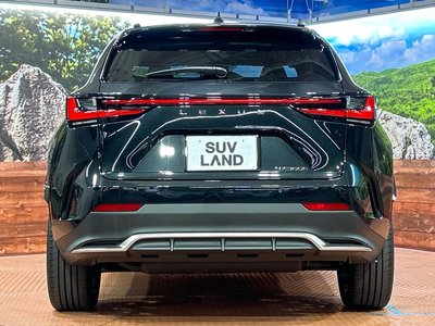 2025 Lexus NX — миниатюра 15