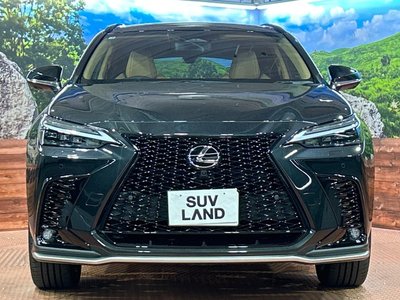 2025 Lexus NX — миниатюра 14