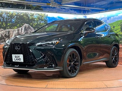 2025 Lexus NX — миниатюра 65