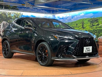 2025 Lexus NX — миниатюра 16