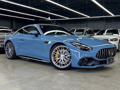 2025 Mercedes-BENZ GT AMG 缩略图 17