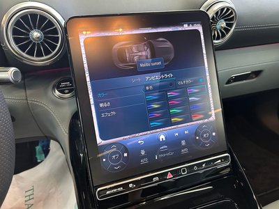 2025 Mercedes-BENZ GT AMG 缩略图 53