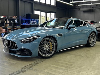 2025 Mercedes-BENZ GT AMG — фото 10