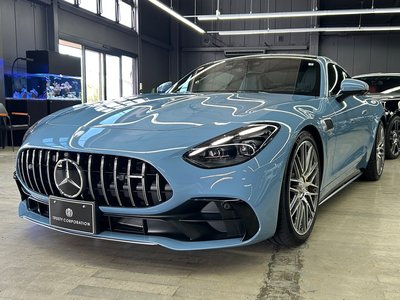 2025 Mercedes-BENZ GT AMG 缩略图 25