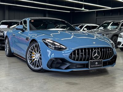 2025 Mercedes-BENZ GT AMG 缩略图 18