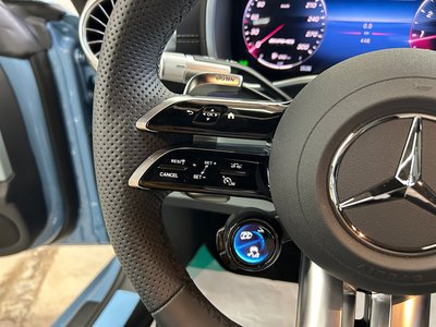 2025 Mercedes-BENZ GT AMG 缩略图 35