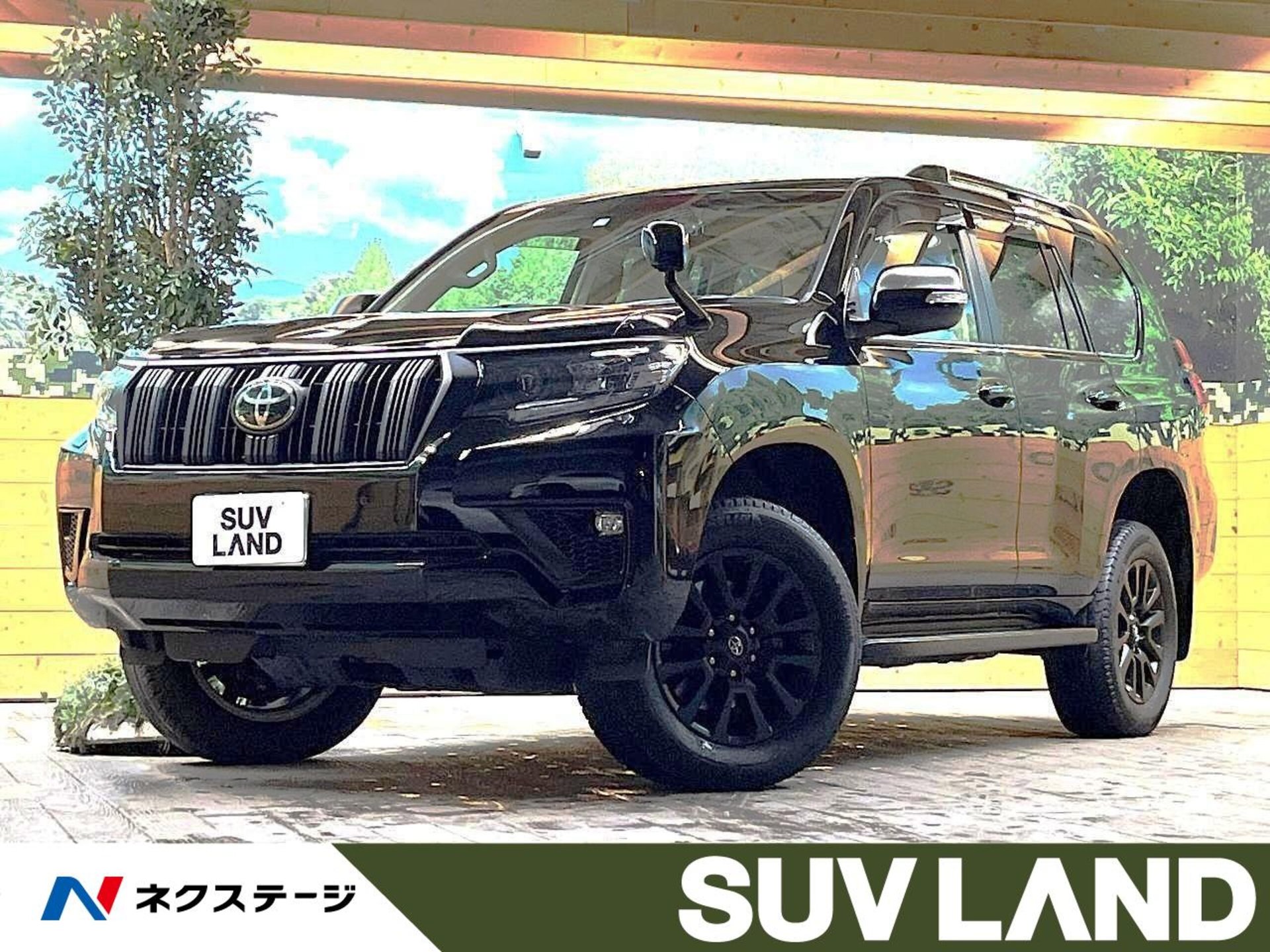 TOYOTA LAND CRUISER PRADO - View 1