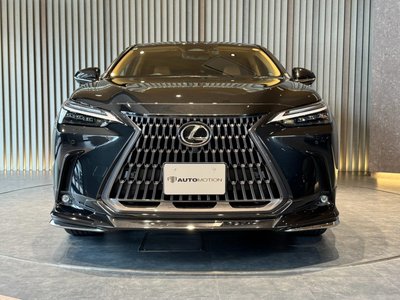 LEXUS NX - 10