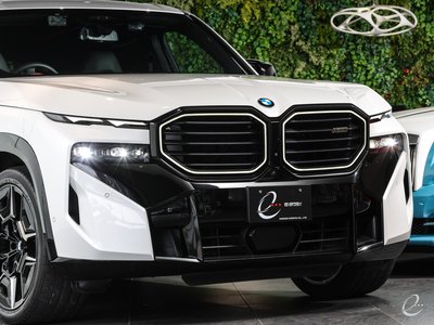 2024 BMW XM — миниатюра 15