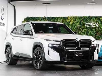 2024 BMW XM — миниатюра 12