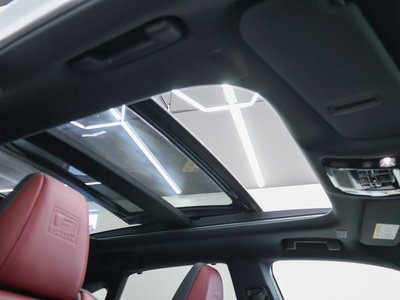 2024 Lexus RX 缩略图 48