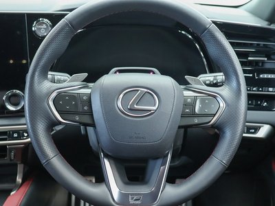 2024 Lexus RX 缩略图 19