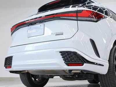 2024 Lexus RX 缩略图 73