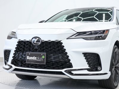 2024 Lexus RX 缩略图 61
