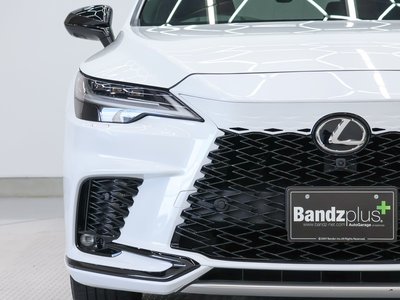 2024 Lexus RX 缩略图 57