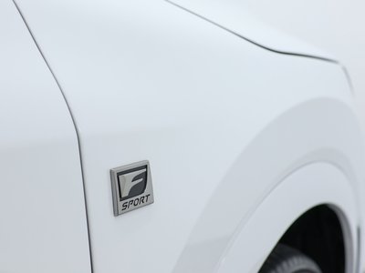 2024 Lexus RX 缩略图 64