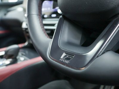 2024 Lexus RX 缩略图 24