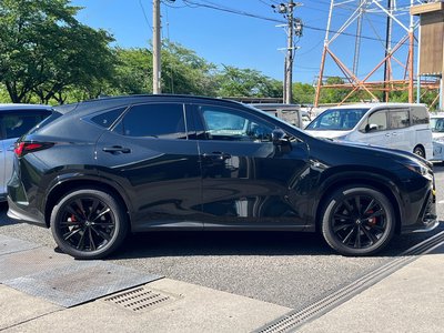 LEXUS NX - 10
