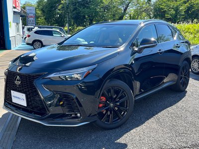LEXUS NX - 6