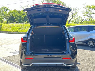 LEXUS NX - 9