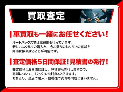 Thumbnail 48